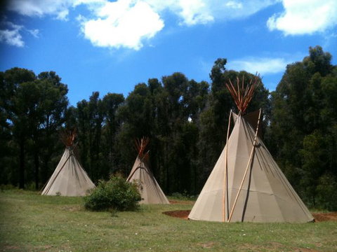Kinglake Forest Adventures Camp - Nelson Bay Accommodation.com 0