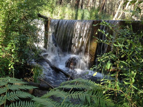Kinglake Forest Adventures Camp - Nelson Bay Accommodation.com 1