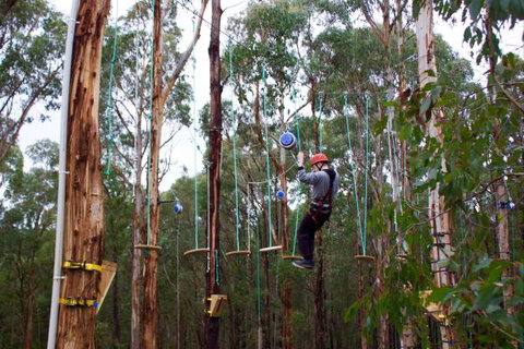 Kinglake Forest Adventures Camp - Nelson Bay Accommodation.com 5