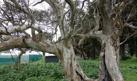 Morella Farm Stay - Accommodation Nelson Bay 10