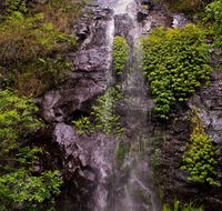 Nimbin waterfall retreat - Accommodation Nelson Bay