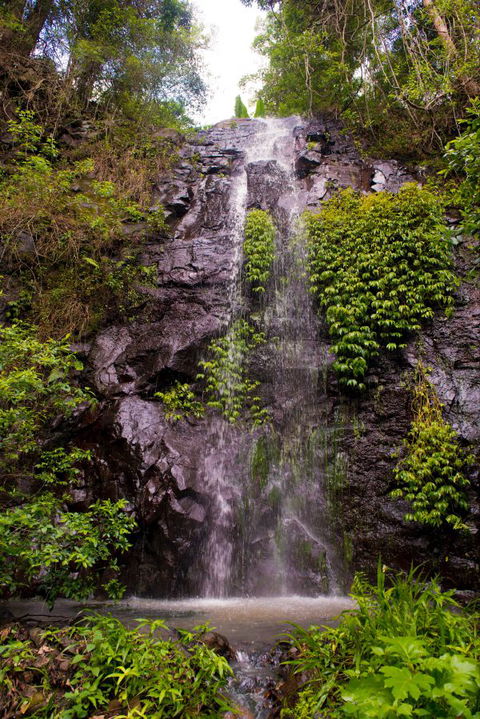 Nimbin Waterfall Retreat - Accommodation Nelson Bay 0