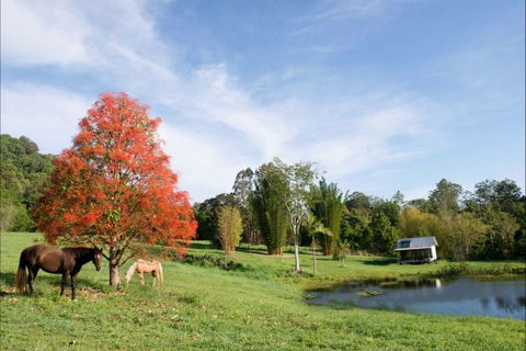 Nimbin Waterfall Retreat - Accommodation Nelson Bay 1