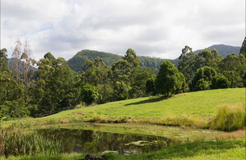 Nimbin Waterfall Retreat - Accommodation Nelson Bay 3