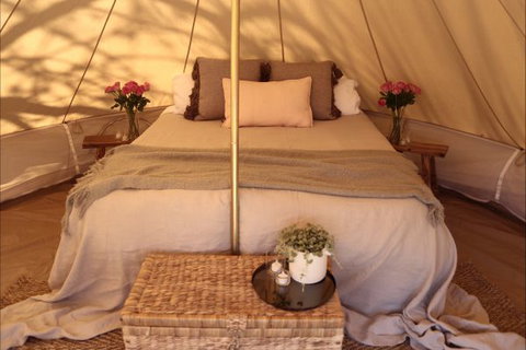 Pitch South Coast - Accommodation Nelson Bay 1