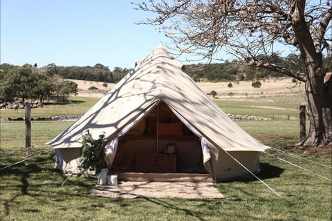 Pitch South Coast - Accommodation Nelson Bay 2
