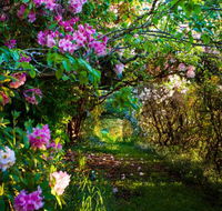 The Pear Walk - Accommodation Nelson Bay
