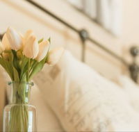 Wang Stays and Short Stops - Accommodation Nelson Bay