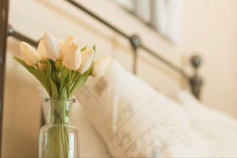 Wang Stays And Short Stops - Accommodation Nelson Bay 0