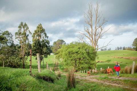 Wines For Joanie Cottage - Accommodation Nelson Bay 6