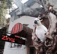 Zing Backpackers Hostel - Accommodation Nelson Bay