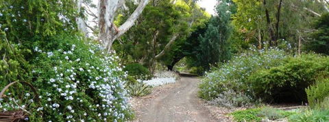 Camawald Coonawarra Bed & Breakfast - Accommodation Nelson Bay 13