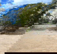 Acraman Creek Conservation Park Campgrounds - Accommodation Nelson Bay