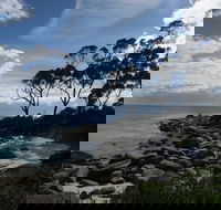 Binalong Bay Beach Shack - Accommodation Nelson Bay