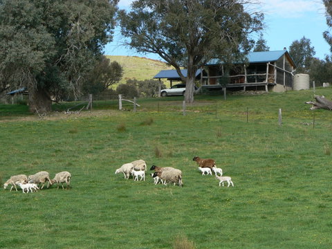 Gaddleen Grove Cottages - Accommodation Nelson Bay 0