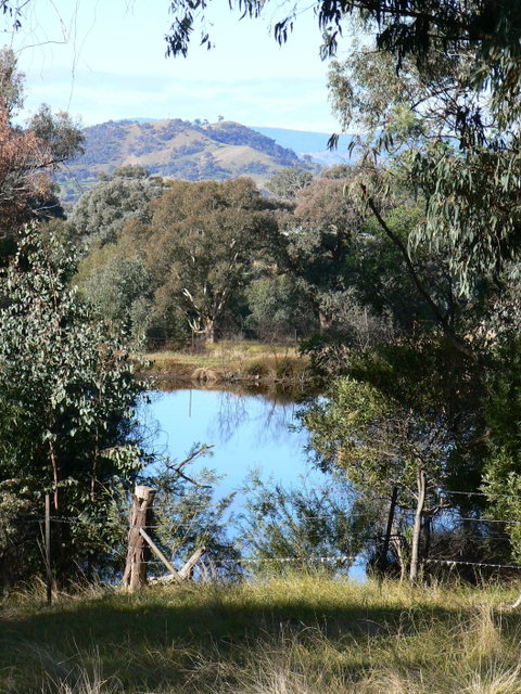 Gaddleen Grove Cottages - Accommodation Nelson Bay 6