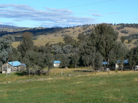 Gaddleen Grove Cottages - Accommodation Nelson Bay 7
