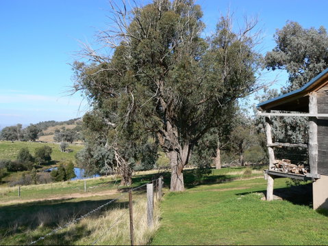Gaddleen Grove Cottages - Accommodation Nelson Bay 9
