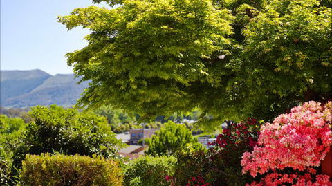 Greatview Holiday Spa Retreat For Couples - Accommodation Nelson Bay 4