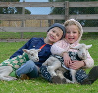 Narnu  Farm Farm stay/ School Camp - Accommodation Nelson Bay