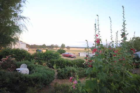 Rostrata Country House - Accommodation Nelson Bay 7