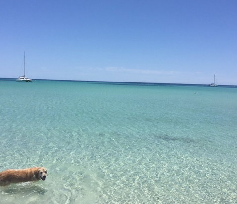 WA HomeStay - Accommodation Nelson Bay 3