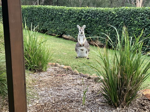 Wild Edge Retreat - Accommodation Nelson Bay 9