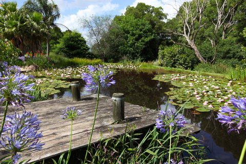 Yellow Dog Cottage - Accommodation Nelson Bay 6