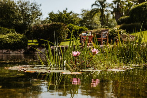 Yellow Dog Cottage - Accommodation Nelson Bay 8