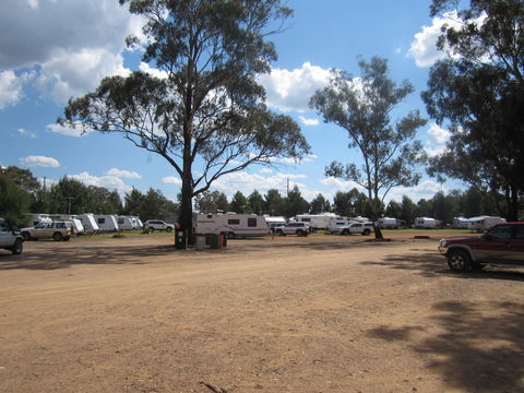 Ariah Park Camping Ground - Accommodation Nelson Bay 4