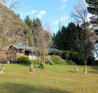 Cedar Lodge Cabins - Accommodation Nelson Bay