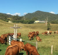 Farringdon Homestead - Accommodation Nelson Bay