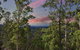 Gold Coast Tree Houses - thumb 2