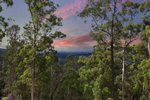 Gold Coast Tree Houses - Accommodation Nelson Bay 2