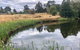 Hamlet Downs Country Accommodation - thumb 7