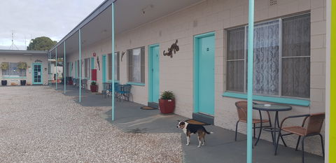 Kadina Village Motel - Accommodation Nelson Bay 2