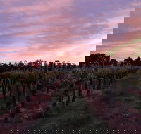 Milawa Vineyard Views - Accommodation Nelson Bay