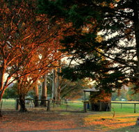 Misty Valley Country Cottages - Accommodation Nelson Bay