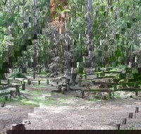 Six Mile Creek campground - Accommodation Nelson Bay