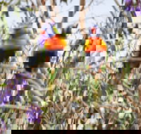 Twilight Grove Farm Bed and Breakfast - Accommodation Nelson Bay