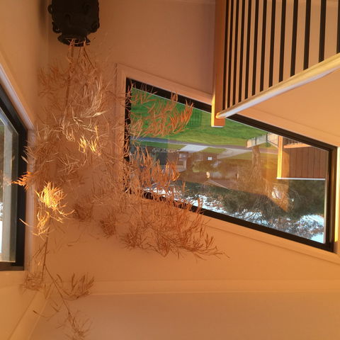 Barefoot Beach Stays - Accommodation Nelson Bay 1