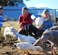 Cedar Glen Farmstay - Accommodation Nelson Bay