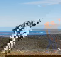 Cowell RV Park - Accommodation Nelson Bay