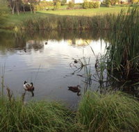 Harewood House Bed and Breakfast - Accommodation Nelson Bay