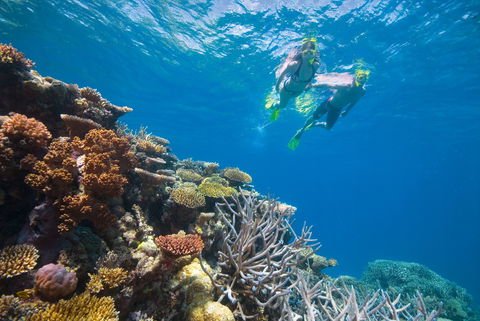NRMA Cairns Holiday Park - Accommodation Nelson Bay 0