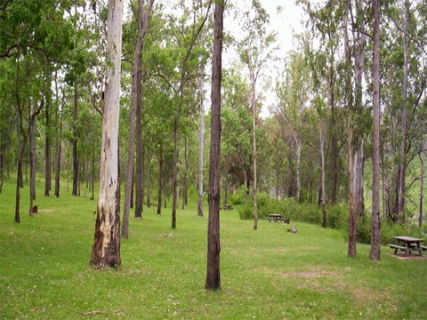 Nymboida River Campground - Accommodation Nelson Bay 1