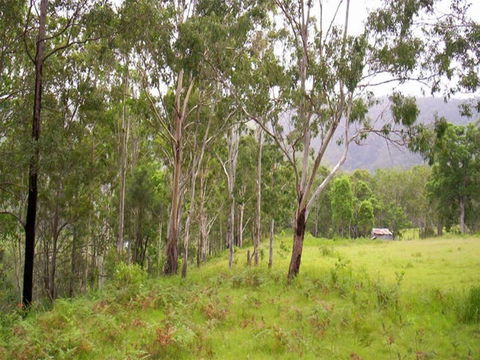 Nymboida River Campground - Accommodation Nelson Bay 2