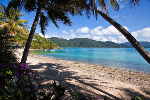 Palm Bay Resort - Accommodation Nelson Bay 2