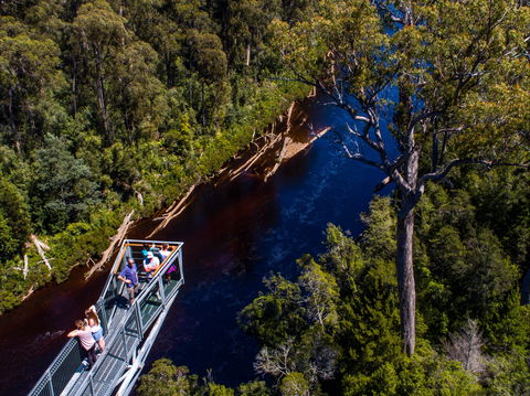 Tahune Adventures Tasmania - Lodge And Cabin - Accommodation Nelson Bay 1