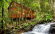 The Mouses House - Rainforest Retreat - thumb 0